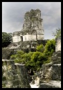 vestiges de Tikal  Guatemala