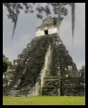 Tikal :  pyramide