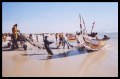 Arrivée des pirogues au port de Nouakchott